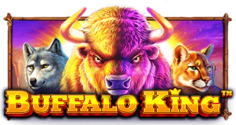 buffalo-king